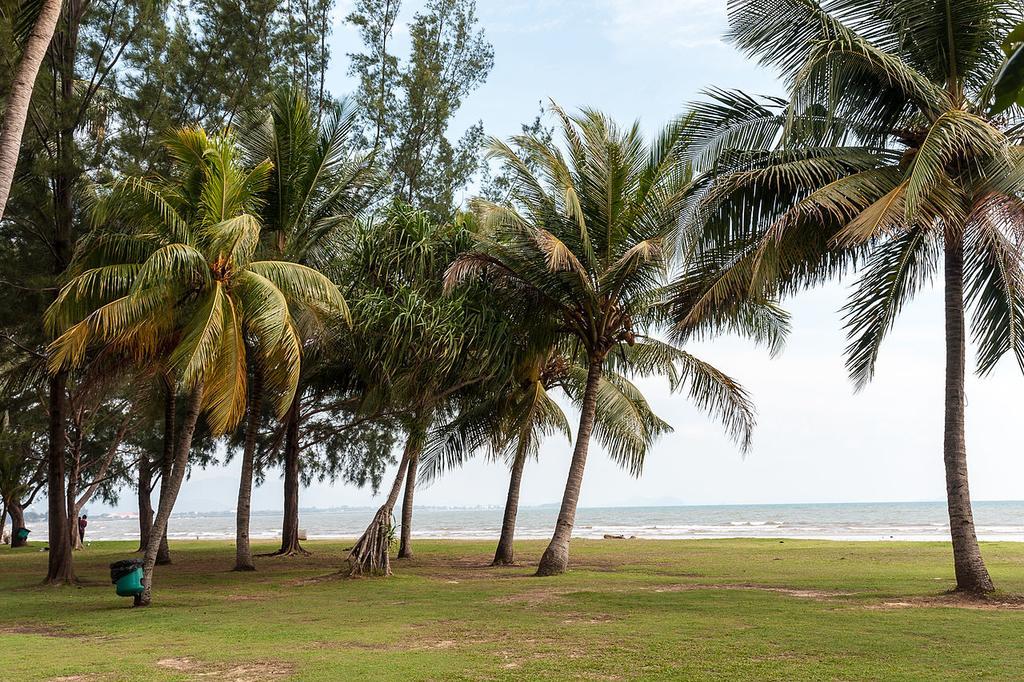 Nusantara Mattwaddien M.s * Kota Kinabalu